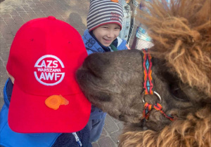 Spotkanie z Alpakami