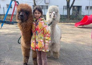 Spotkanie z Alpakami