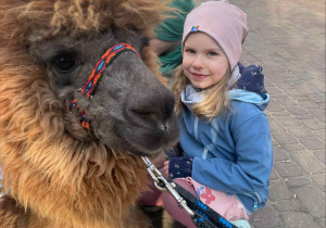 Spotkanie z Alpakami