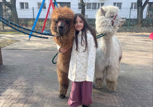 Spotkanie z Alpakami