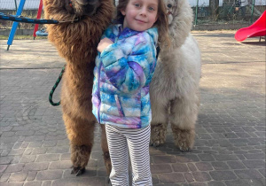 Spotkanie z Alpakami