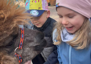 Spotkanie z Alpakami