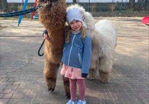 Spotkanie z Alpakami