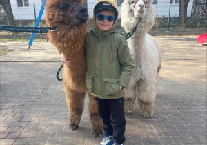 Spotkanie z Alpakami