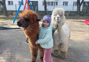 Spotkanie z Alpakami