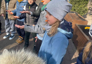 Spotkanie z Alpakami