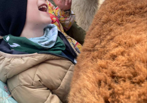 Spotkanie z Alpakami