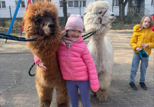 Spotkanie z Alpakami