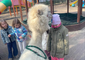 Spotkanie z Alpakami