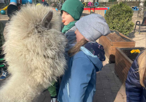 Spotkanie z Alpakami