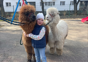 Spotkanie z Alpakami