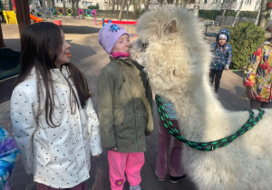 Spotkanie z Alpakami