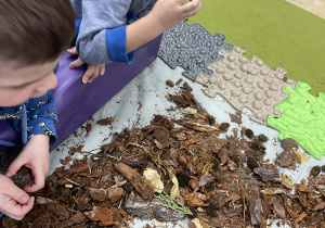 Cztery żywioły - zabawy sensoryczne