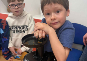 Dzień Marchewki-Robimy Sok