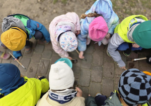 Klub Młodego Odkrywcy