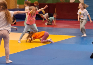 AWF zajęcia sportowe nr 2 - wiosna