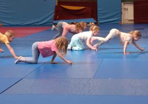 AWF zajęcia sportowe nr 2 - wiosna