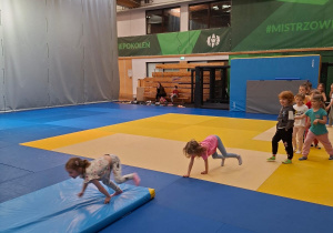 AWF zajęcia sportowe nr 2 - wiosna