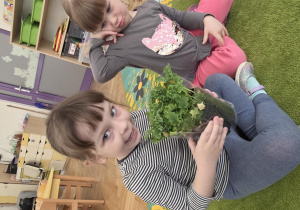 Liski zakładają własny warzywniak