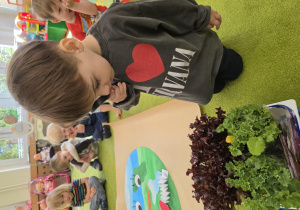 Liski zakładają własny warzywniak