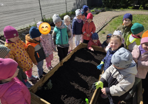 Liski zakładają własny warzywniak