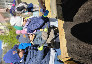 Liski zakładają własny warzywniak