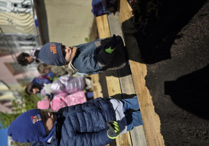 Liski zakładają własny warzywniak