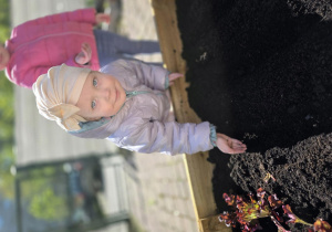 Liski zakładają własny warzywniak