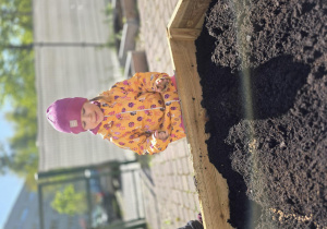 Liski zakładają własny warzywniak