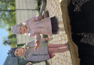 Liski zakładają własny warzywniak