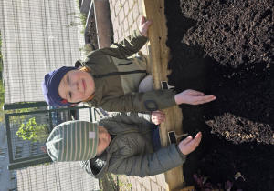 Liski zakładają własny warzywniak