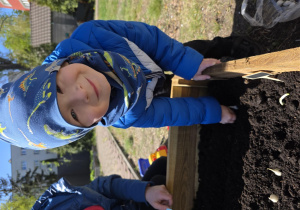 Liski zakładają własny warzywniak