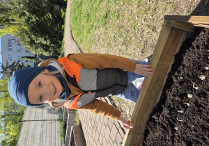 Liski zakładają własny warzywniak