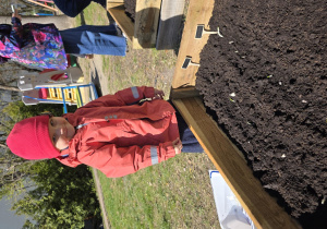 Liski zakładają własny warzywniak