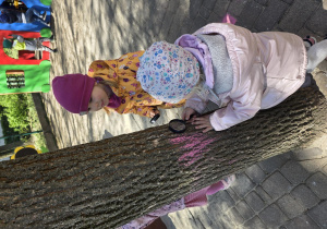 Klub Młodego Odkrywcy- badamy wodę i glebę