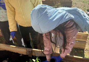 Zakłądamy ogródek warzywny