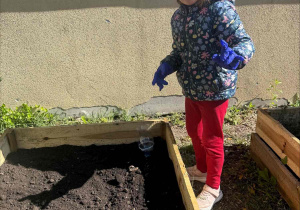 Zakłądamy ogródek warzywny