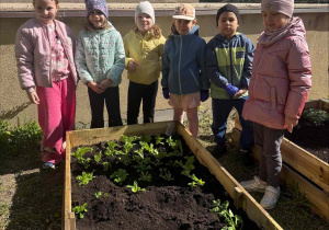 Zakłądamy ogródek warzywny