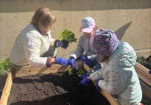 Zakłądamy ogródek warzywny
