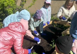 Zakłądamy ogródek warzywny