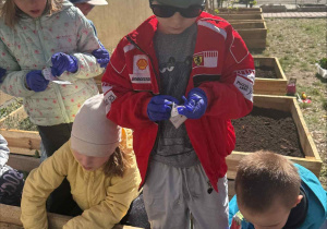 Zakłądamy ogródek warzywny