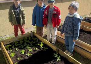 Zakłądamy ogródek warzywny