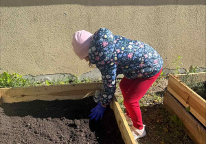 Zakłądamy ogródek warzywny