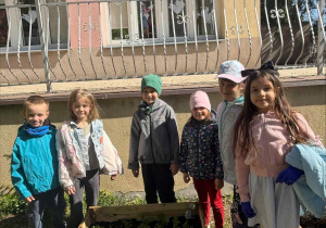 Zakłądamy ogródek warzywny