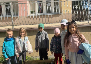 Zakłądamy ogródek warzywny