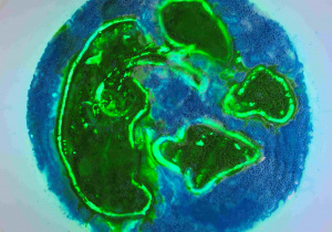 Ziemia - zabawa sensoryczna