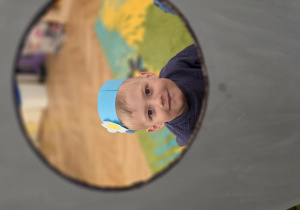Niezapominajka