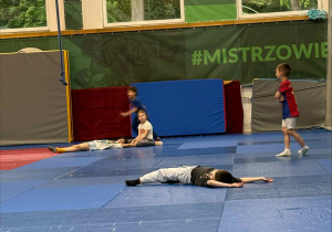 AWF zajęcia sportowe