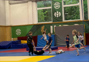 AWF zajęcia sportowe