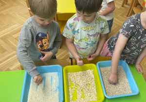 Dzień owsianki